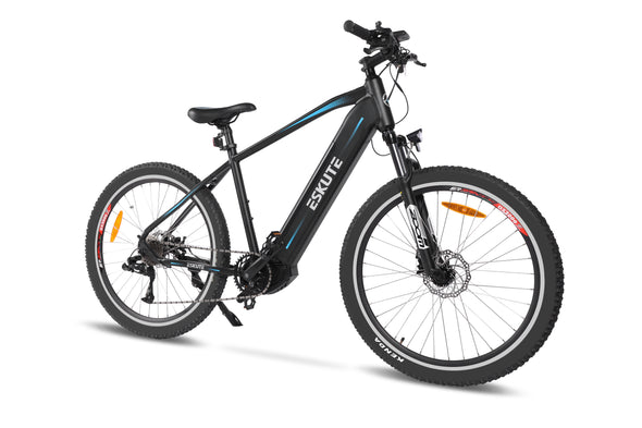 Netuno Pro vélo électrique moteur central  80-100km